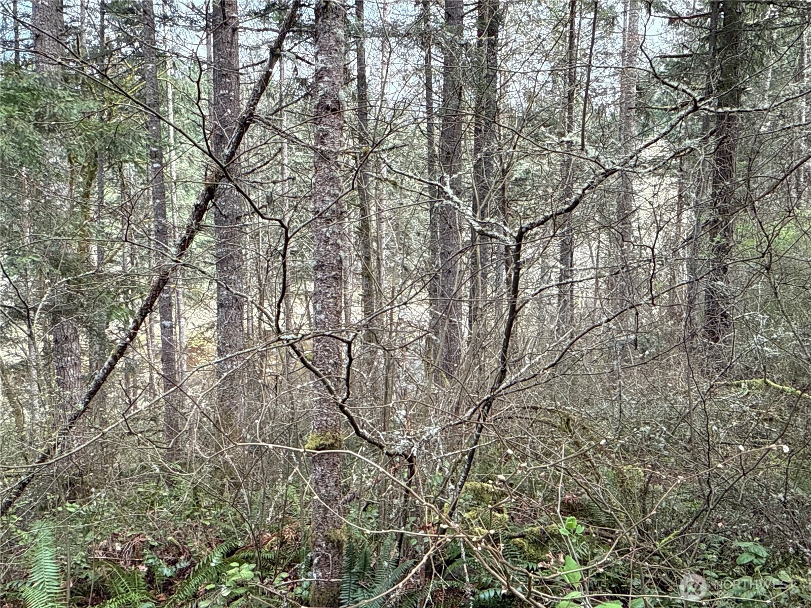 17636 E Clear Lake Boulevard SE, Yelm, WA 98597