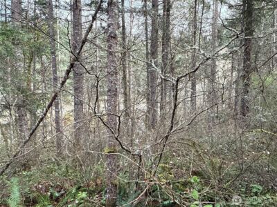 17636 E Clear Lake Boulevard SE, Yelm, WA 98597 - Photo 15