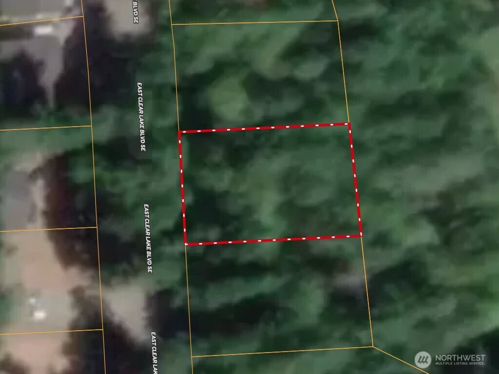 17636 E Clear Lake Boulevard SE, Yelm, WA 98597