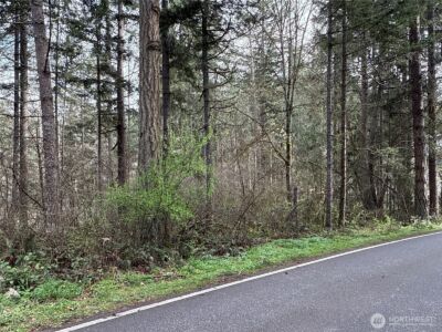 17636 E Clear Lake Boulevard SE, Yelm, WA 98597 - Photo 3