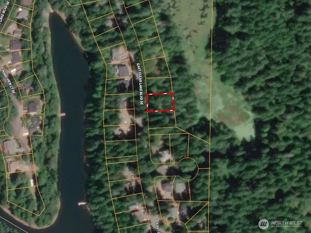 17636 E Clear Lake Boulevard SE, Yelm, WA 98597