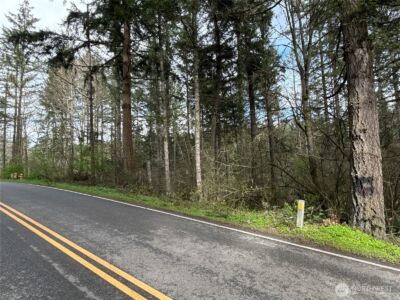 17636 E Clear Lake Boulevard SE, Yelm, WA 98597 - Photo 2