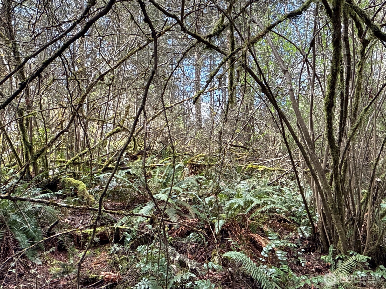 17636 E Clear Lake Boulevard SE, Yelm, WA 98597