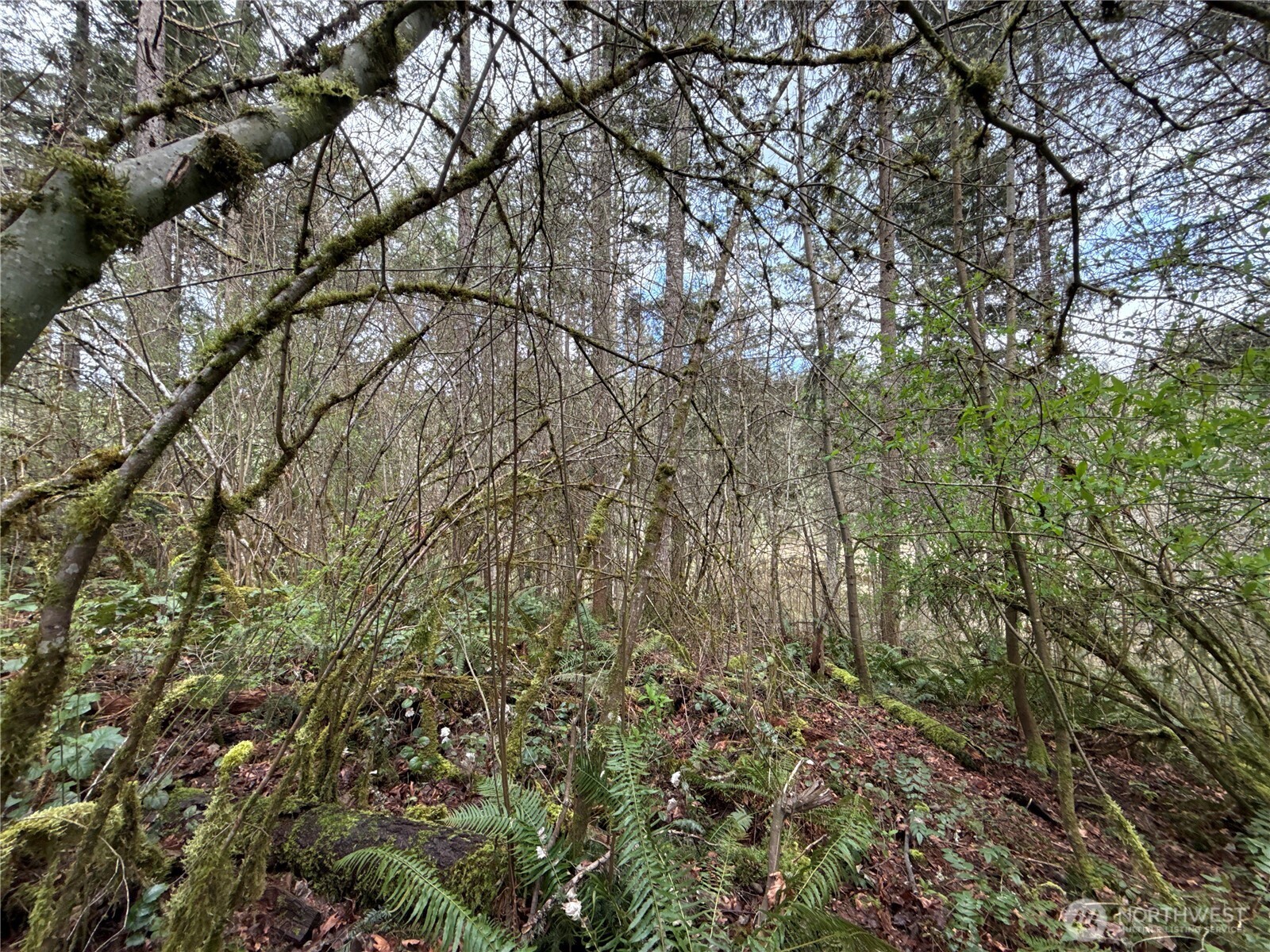 17636 E Clear Lake Boulevard SE, Yelm, WA 98597