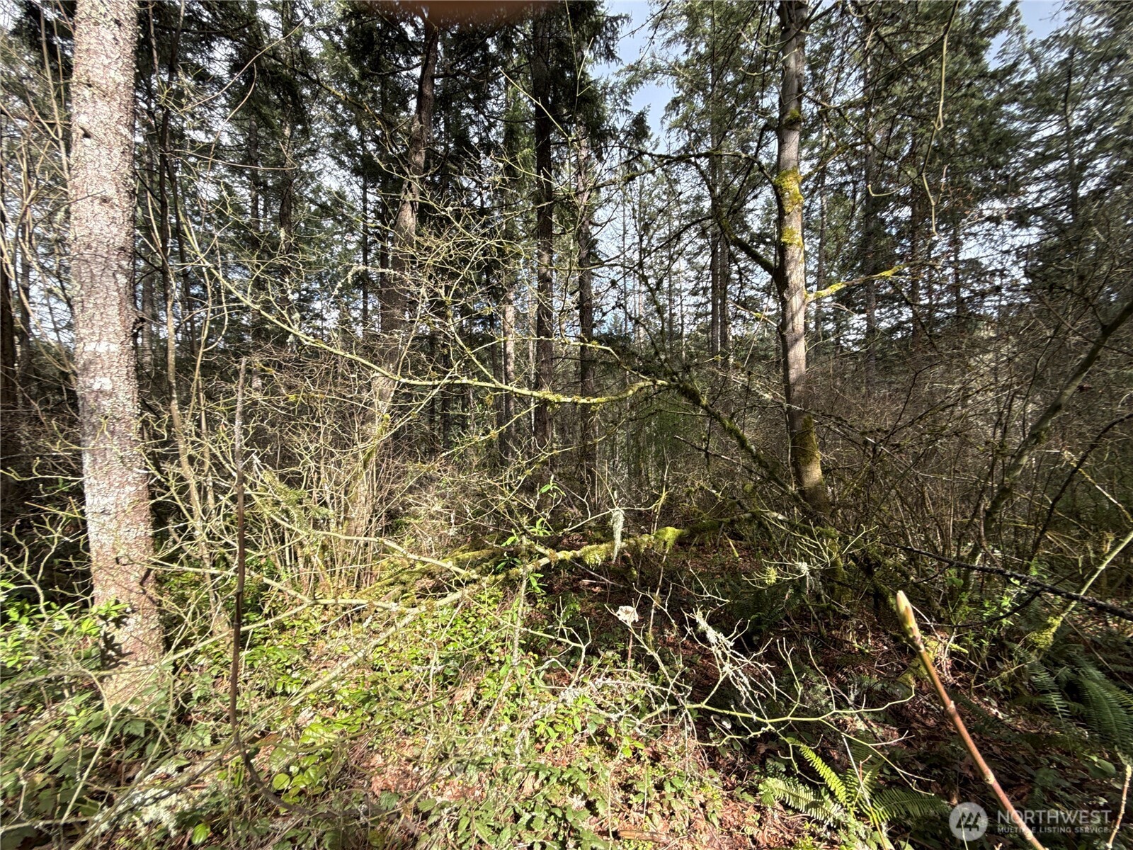 17636 E Clear Lake Boulevard SE, Yelm, WA 98597