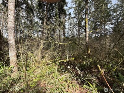 17636 E Clear Lake Boulevard SE, Yelm, WA 98597 - Photo 8