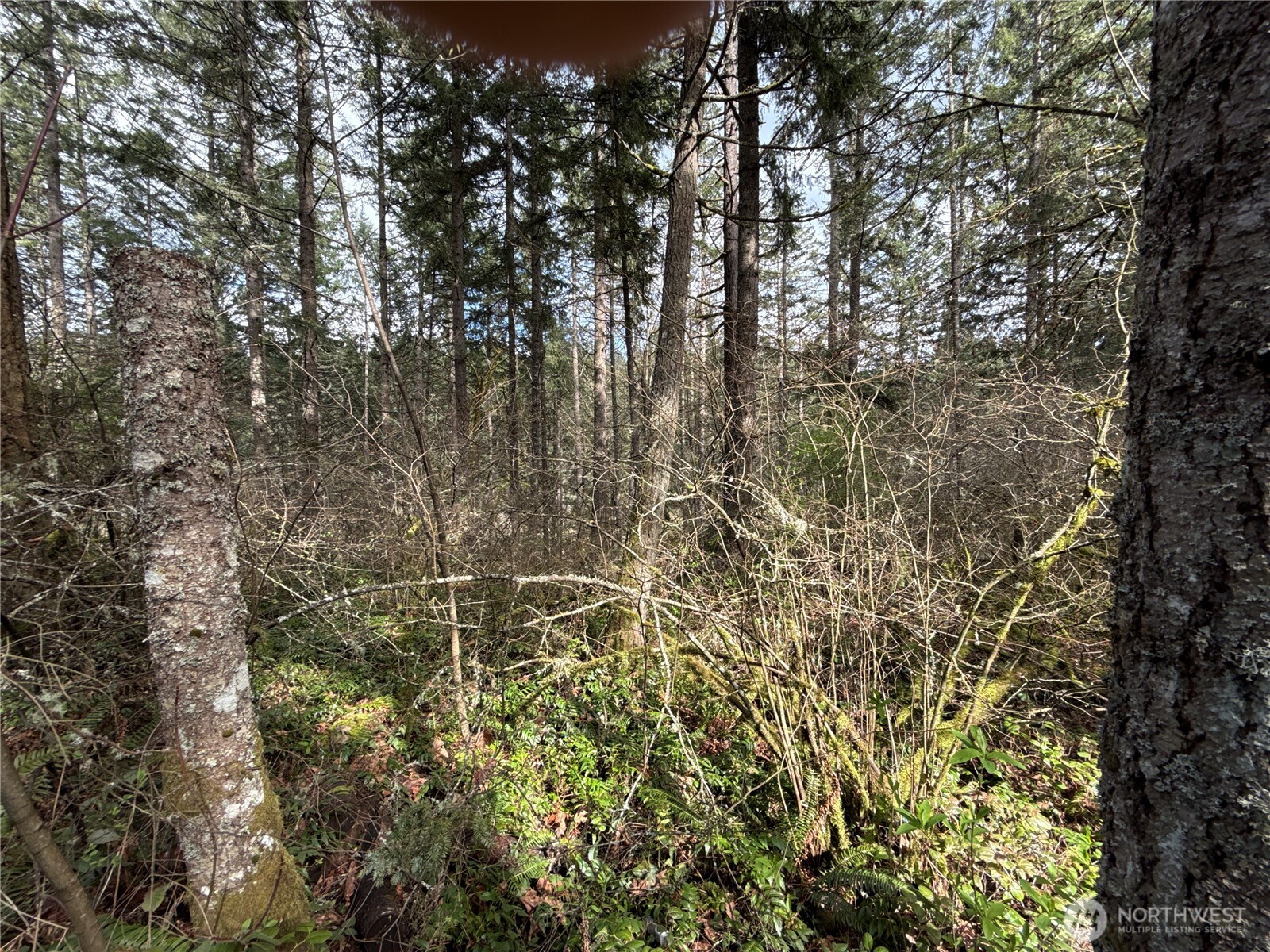17636 E Clear Lake Boulevard SE, Yelm, WA 98597