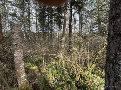 17636 E Clear Lake Boulevard SE, Yelm, WA 98597 - Photo 9
