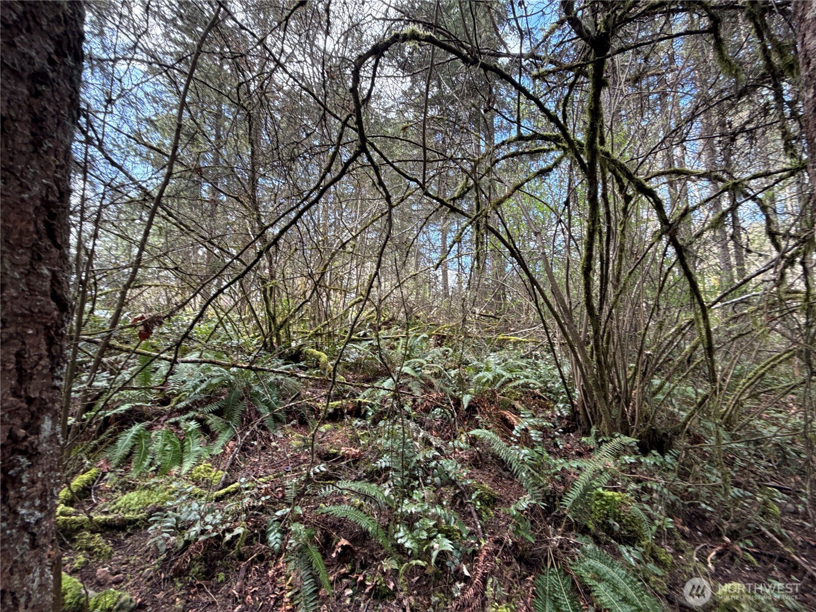 17636 E Clear Lake Boulevard SE, Yelm, WA 98597