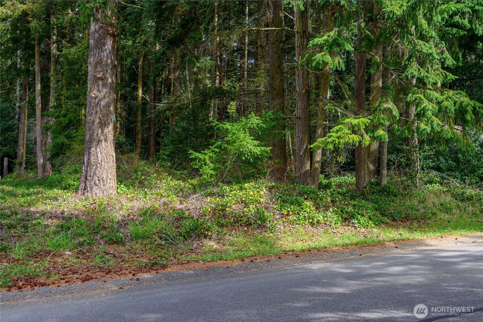 0 Lot 19 Sahalee Court , Clinton, WA 98236