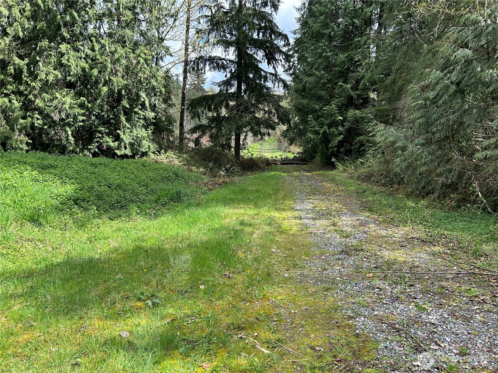 8624 224th Avenue NE, Redmond, WA 98053