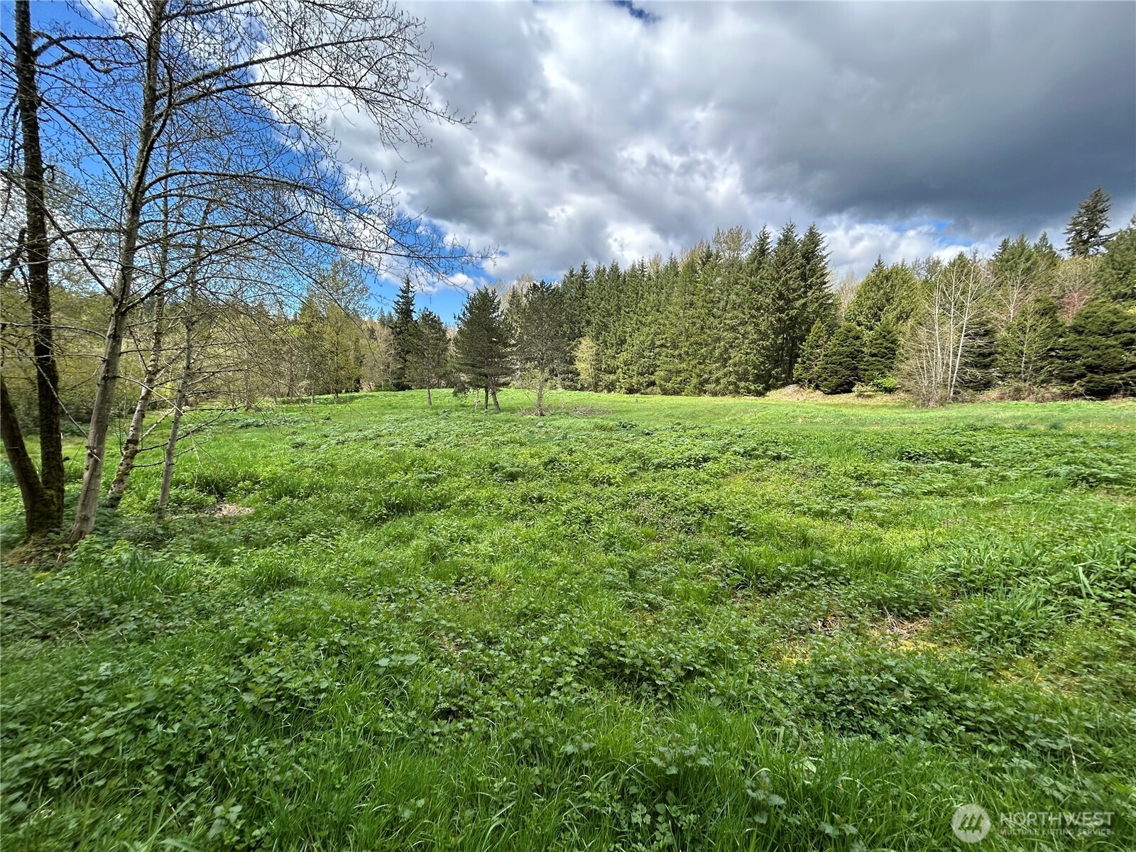 8624 224th Avenue NE, Redmond, WA 98053