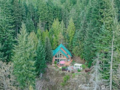 6323 N Lake Cushman Road , Hoodsport, WA 98548 - Photo 9