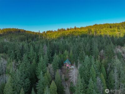 6323 N Lake Cushman Road , Hoodsport, WA 98548 - Photo 10