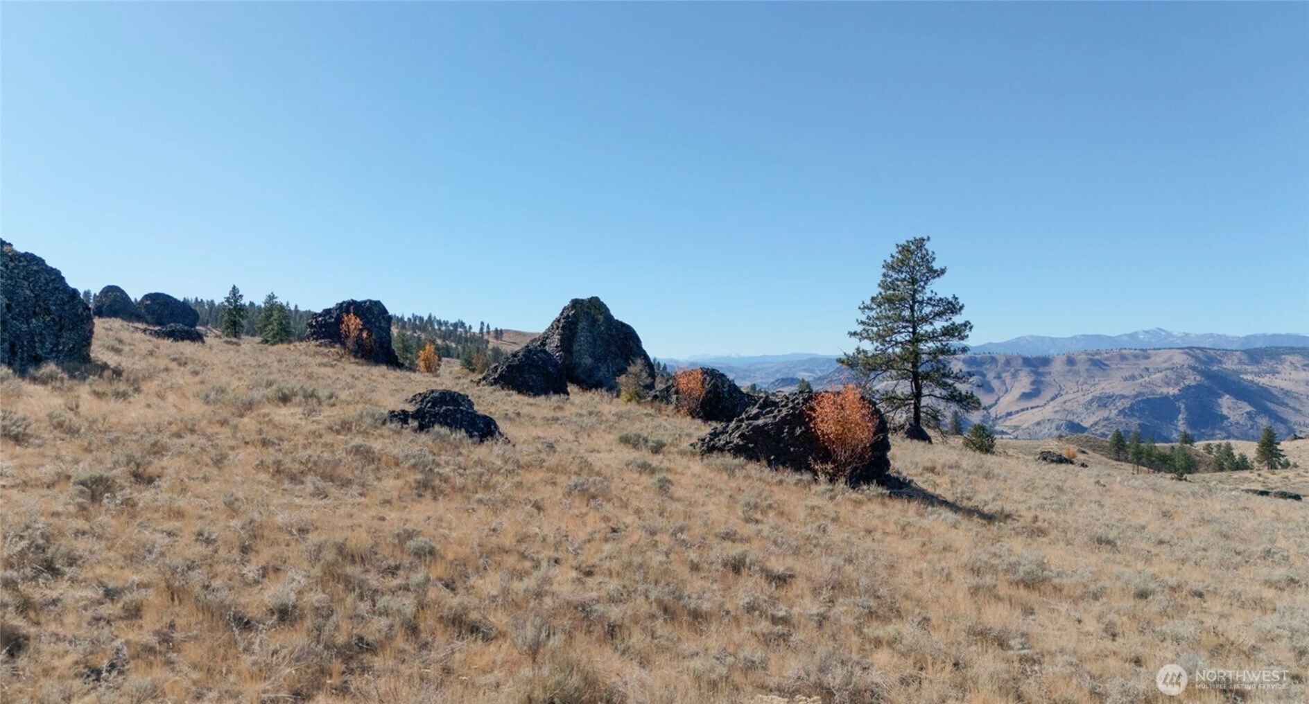 54 Wolf Holler Road , Waterville, WA 98858