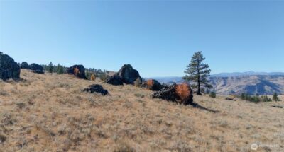 54 Wolf Holler Road , Waterville, WA 98858 - Photo 11