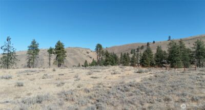 54 Wolf Holler Road , Waterville, WA 98858 - Photo 12