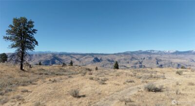 54 Wolf Holler Road , Waterville, WA 98858 - Photo 3