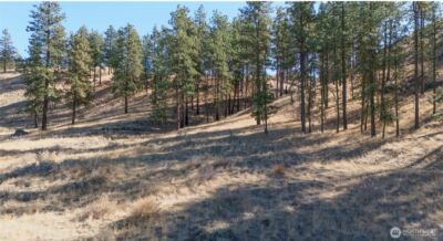 54 Wolf Holler Road , Waterville, WA 98858 - Photo 5