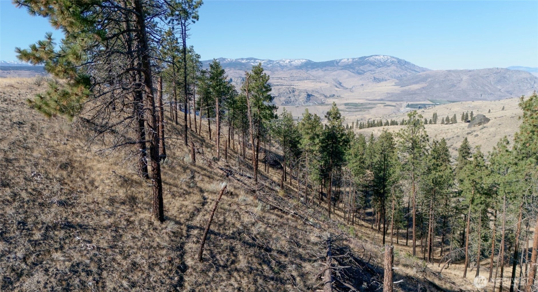54 Wolf Holler Road , Waterville, WA 98858
