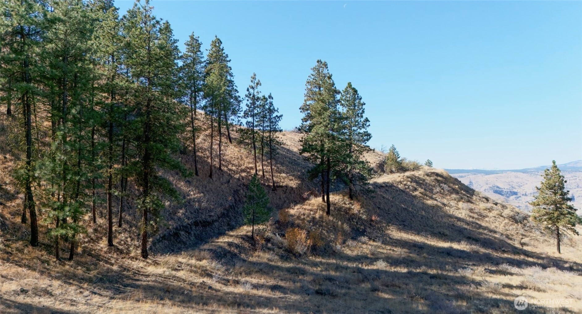 54 Wolf Holler Road , Waterville, WA 98858