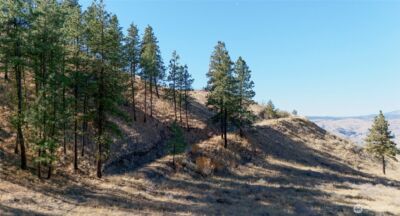 54 Wolf Holler Road , Waterville, WA 98858 - Photo 7
