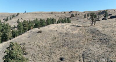 54 Wolf Holler Road , Waterville, WA 98858 - Photo 8