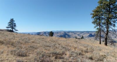 54 Wolf Holler Road , Waterville, WA 98858 - Photo 10