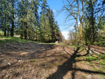 41298 214th Avenue SE, Enumclaw, WA 98022 - Photo 12