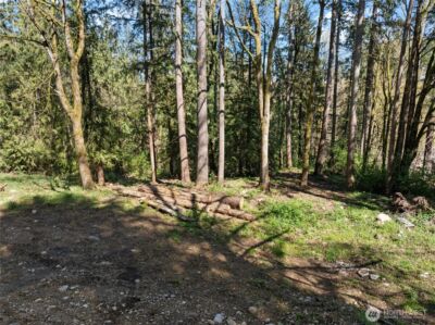 41298 214th Avenue SE, Enumclaw, WA 98022 - Photo 24