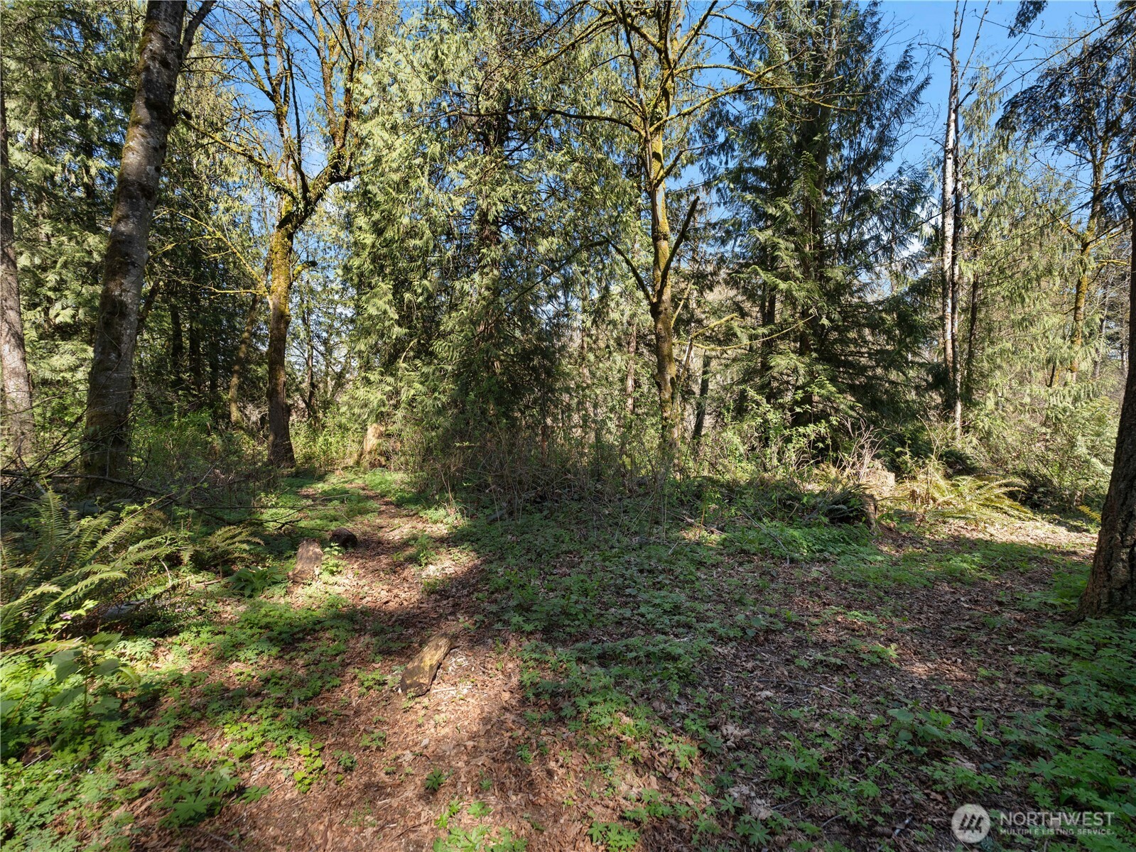 41298 214th Avenue SE, Enumclaw, WA 98022