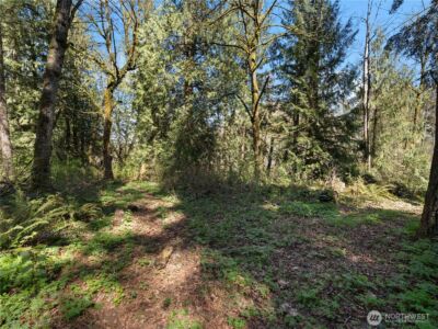 41298 214th Avenue SE, Enumclaw, WA 98022 - Photo 29
