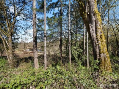 41298 214th Avenue SE, Enumclaw, WA 98022 - Photo 31