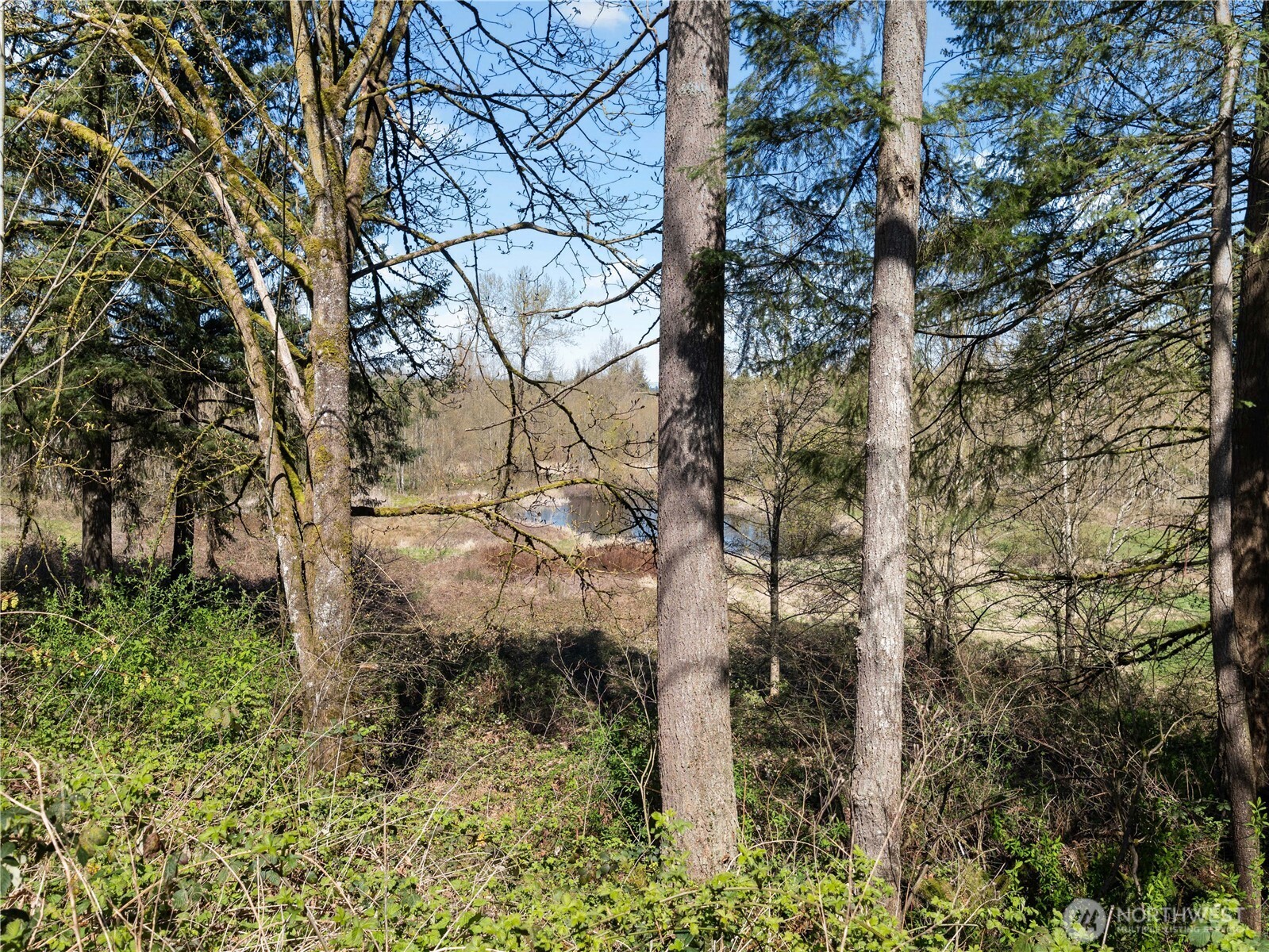 41298 214th Avenue SE, Enumclaw, WA 98022