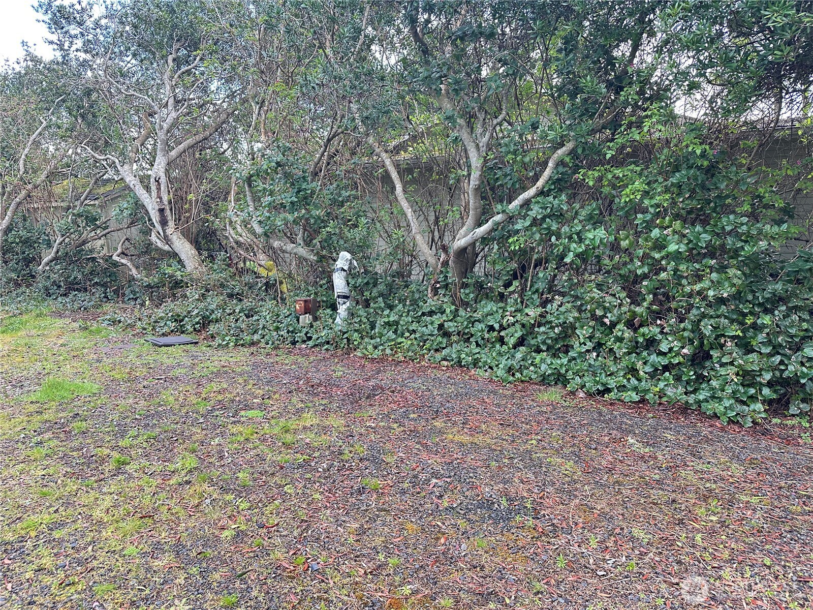 324 Clover Creek Avenue NW, Ocean Shores, WA 98569