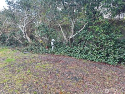 324 Clover Creek Avenue NW, Ocean Shores, WA 98569 - Photo 8