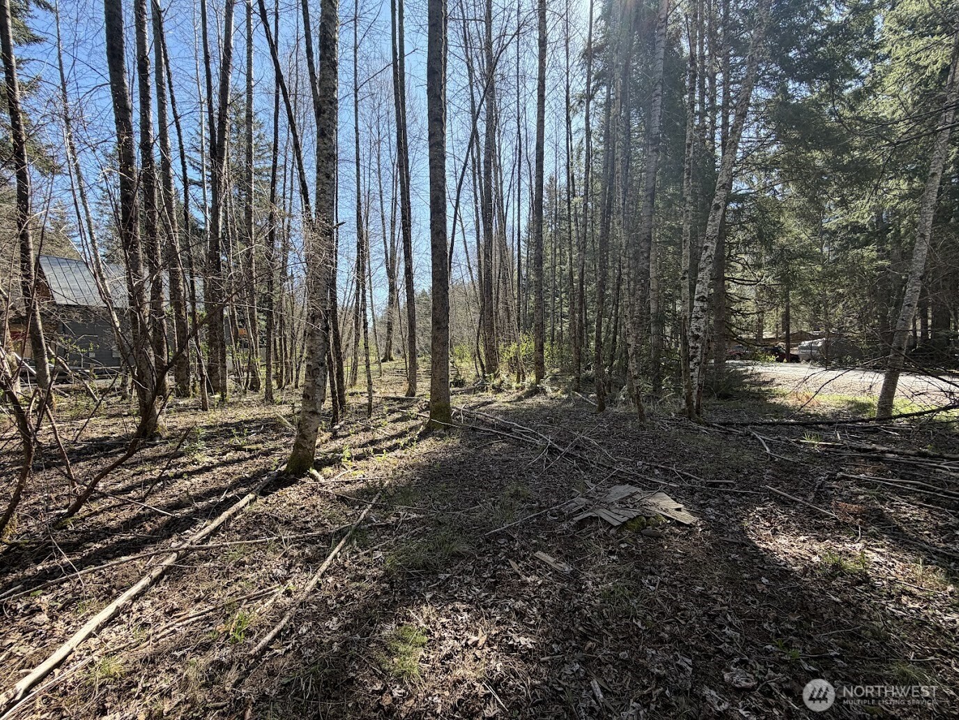 181 Nisqually Way , Ashford, WA 98304