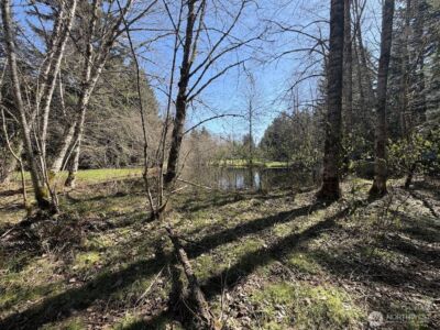 181 Nisqually Way , Ashford, WA 98304 - Photo 11