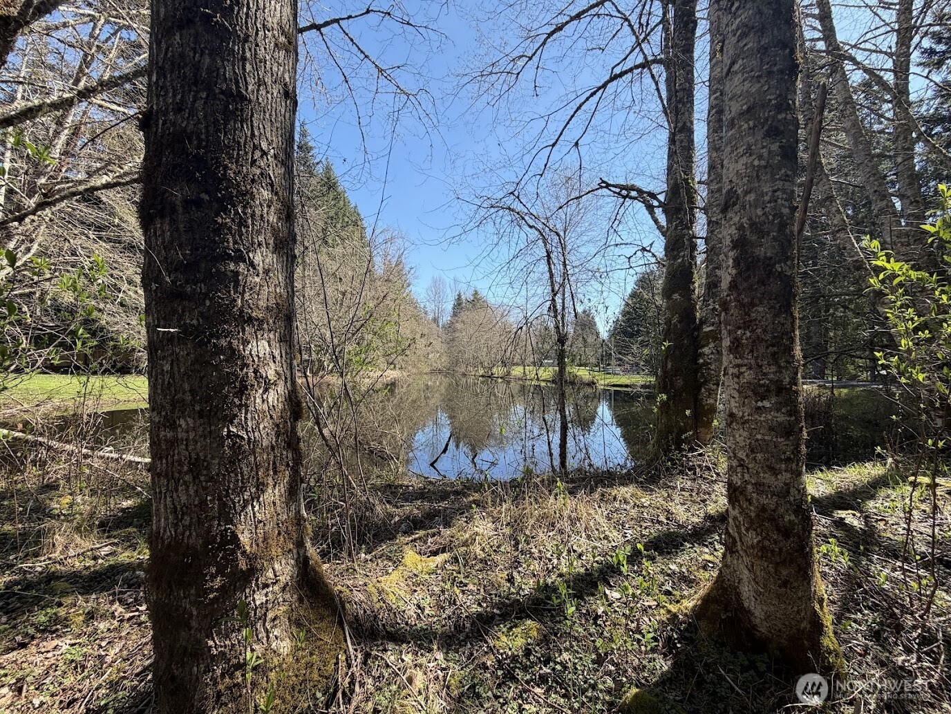 181 Nisqually Way , Ashford, WA 98304