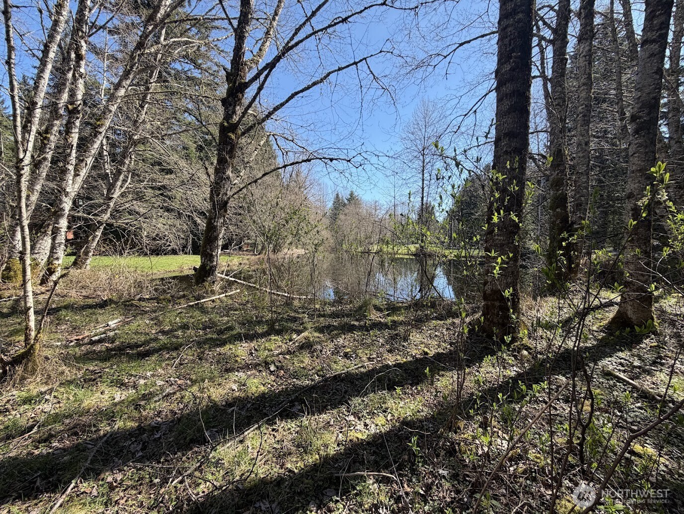 181 Nisqually Way , Ashford, WA 98304