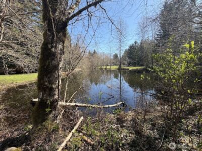 181 Nisqually Way , Ashford, WA 98304 - Photo 14