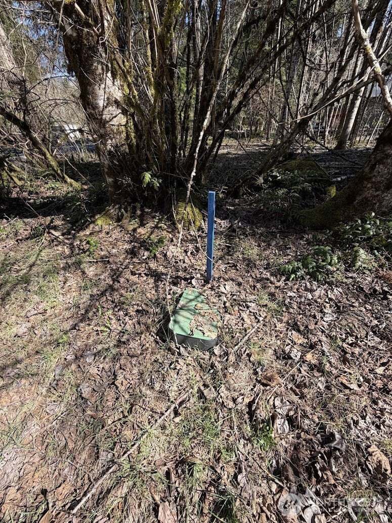 181 Nisqually Way , Ashford, WA 98304