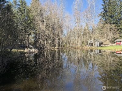 181 Nisqually Way , Ashford, WA 98304 - Photo 17