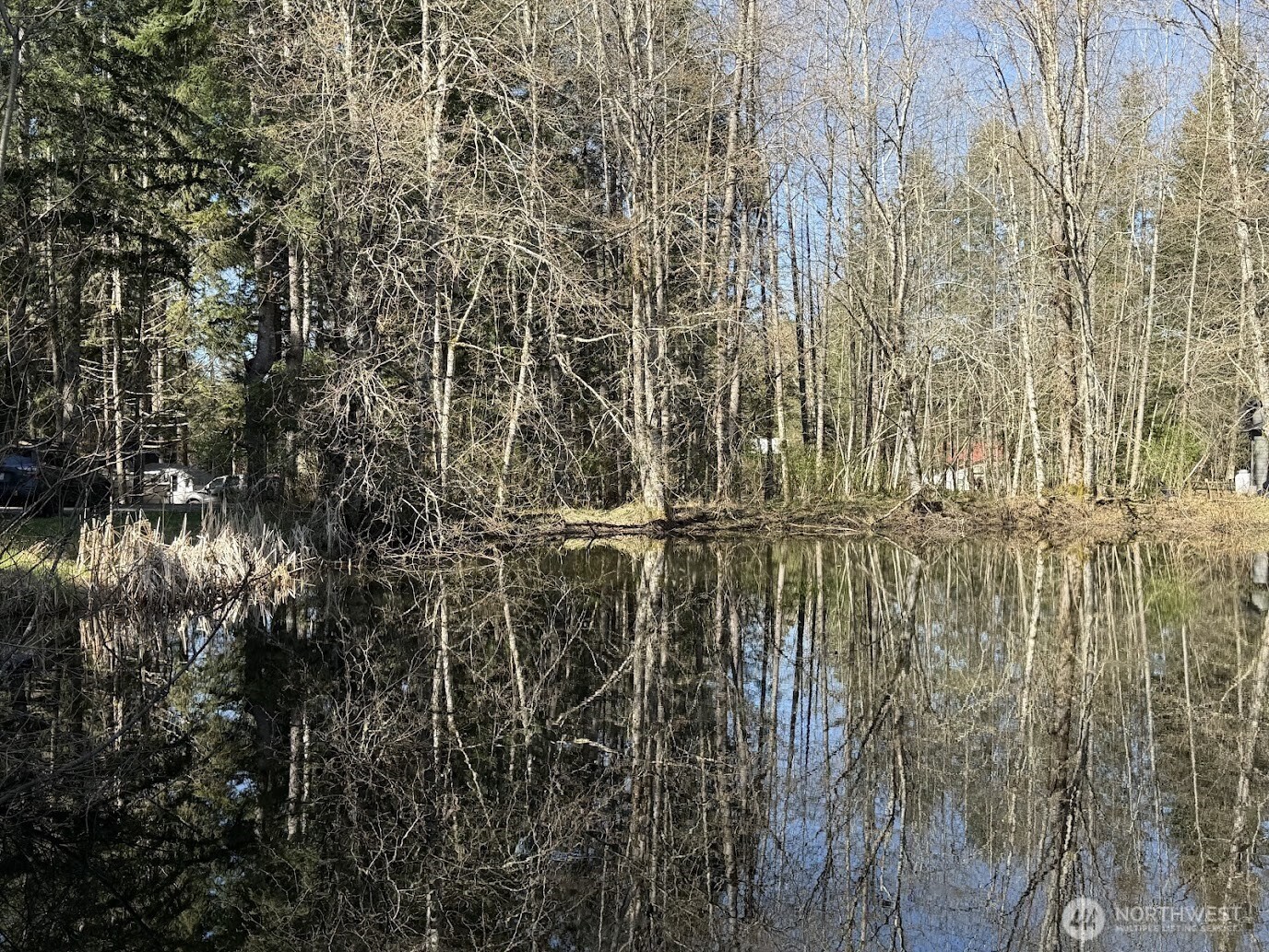 181 Nisqually Way , Ashford, WA 98304