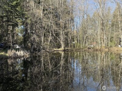 181 Nisqually Way , Ashford, WA 98304 - Photo 18