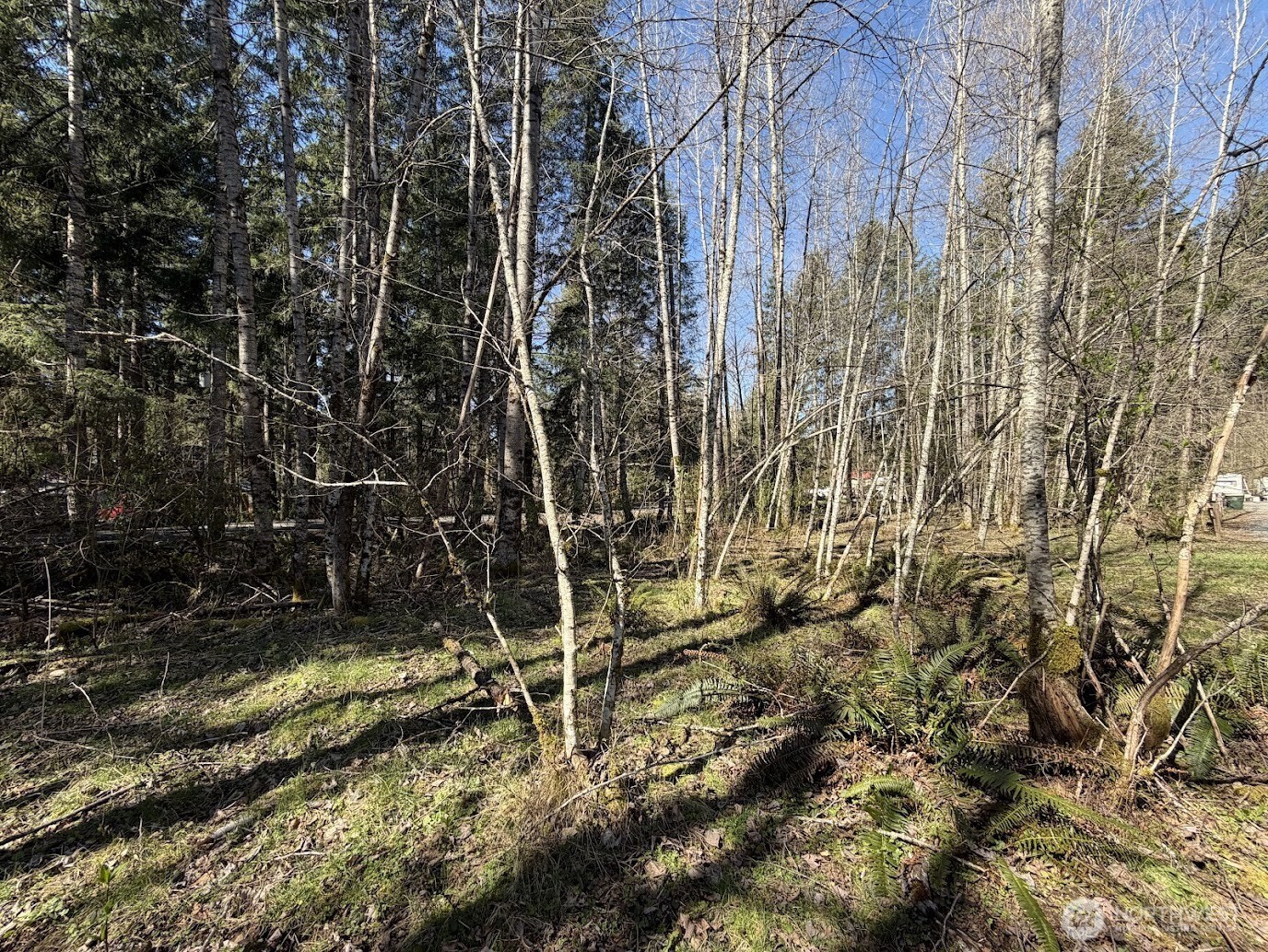 181 Nisqually Way , Ashford, WA 98304