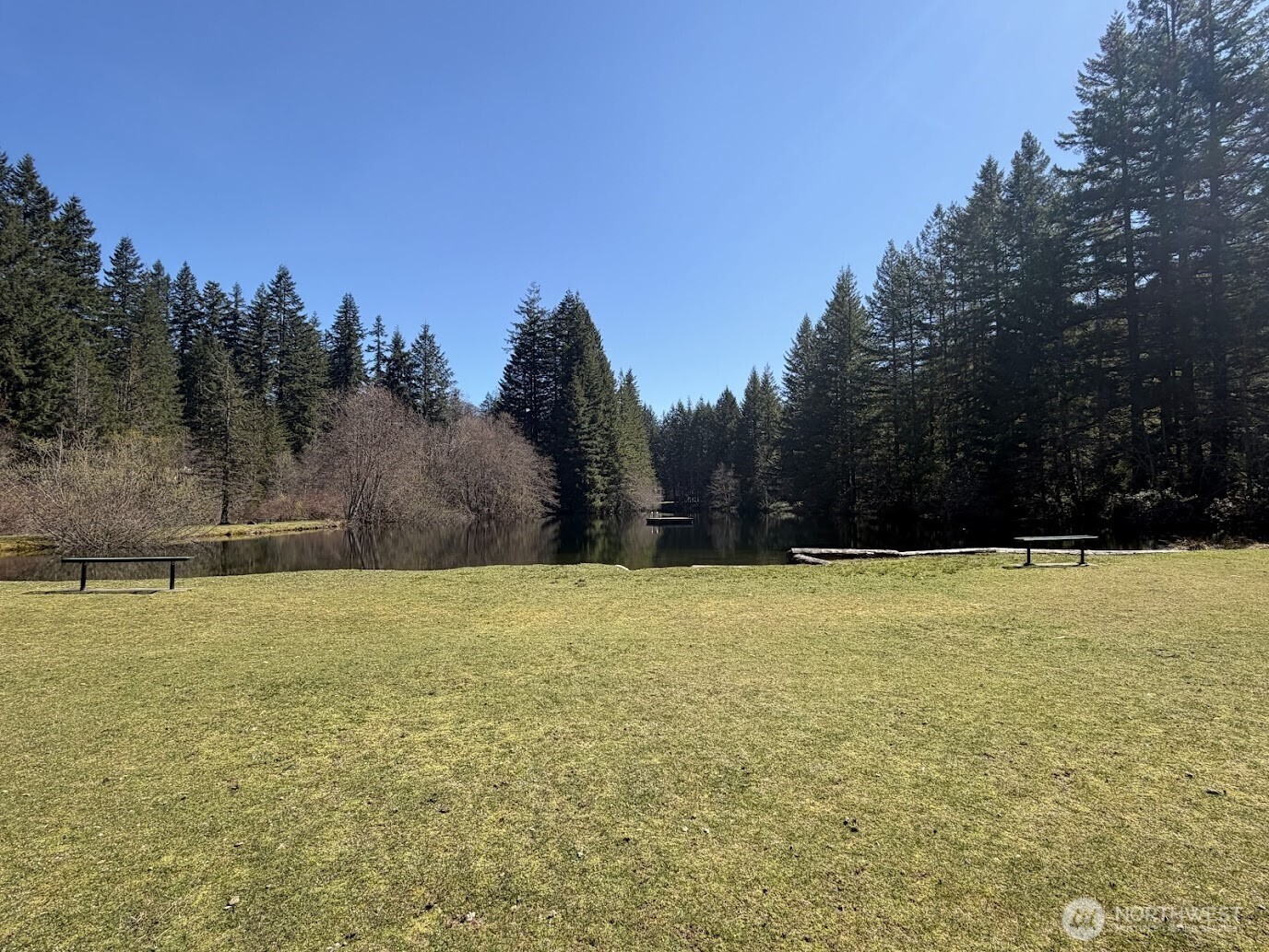 181 Nisqually Way , Ashford, WA 98304