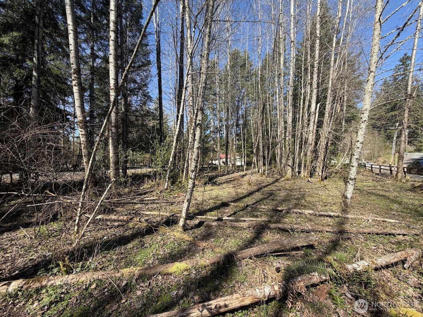 181 Nisqually Way , Ashford, WA 98304