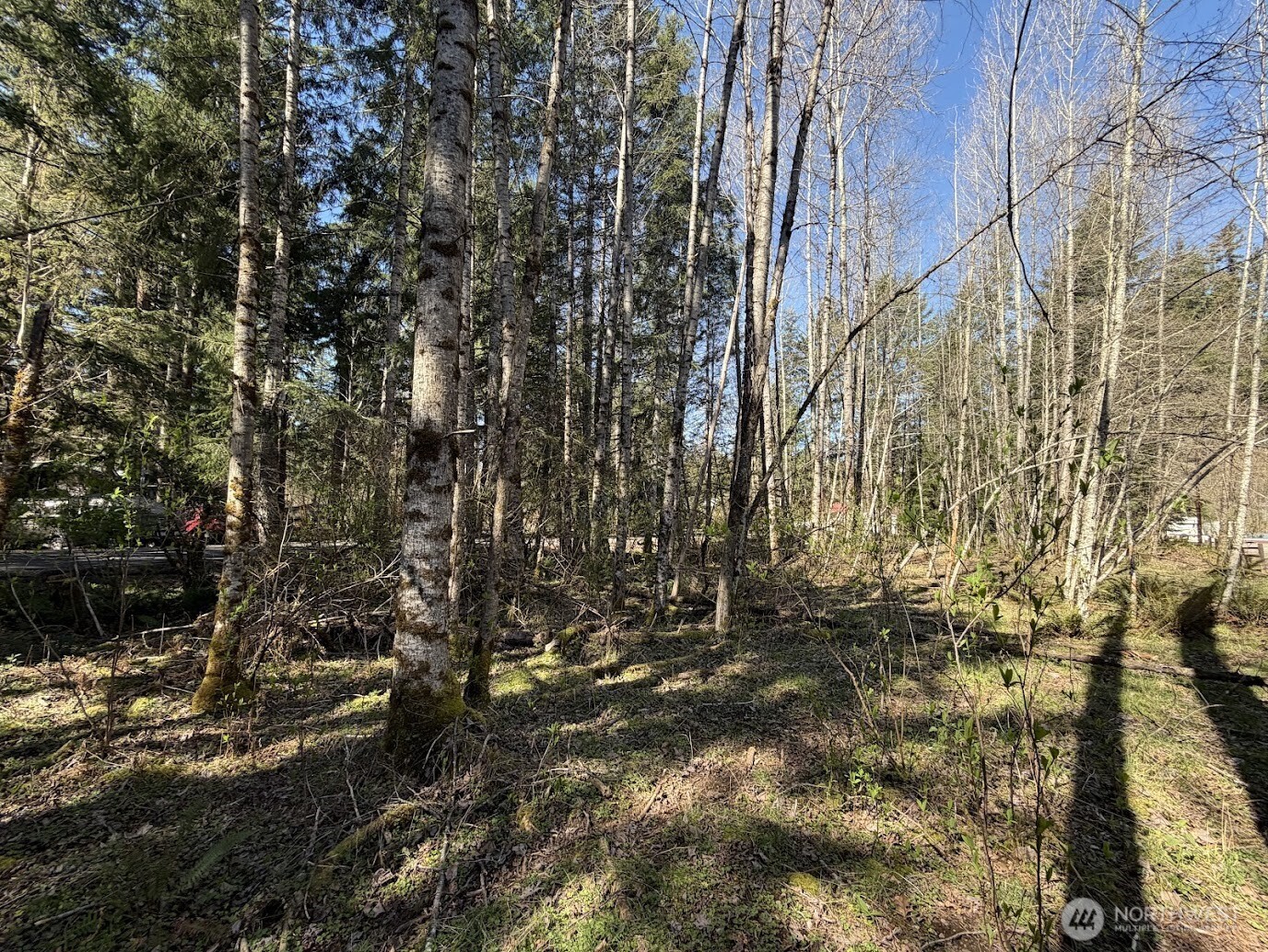 181 Nisqually Way , Ashford, WA 98304
