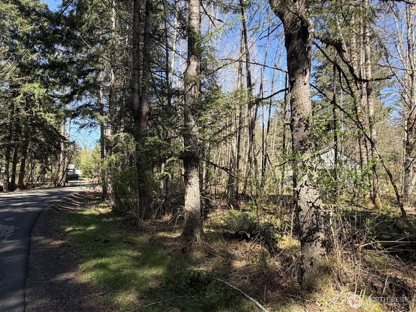 181 Nisqually Way , Ashford, WA 98304